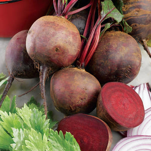 Red Beetroot 'Boltardy' - 100 Seeds