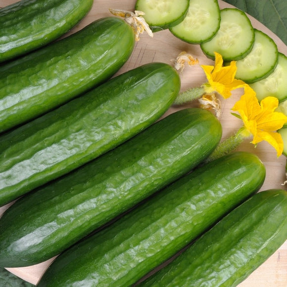 Cucumber 'Marketmore' - 25 Seeds