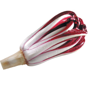 Chicory Radicchio 'Rossa Di Treviso' - 500 Seeds