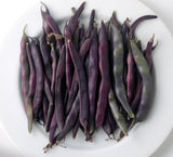 Cosse Violette - 25 Seeds - Climbing French Beans