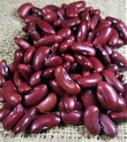Canadian Wonder - 35 Seeds - Dwarf French Beans