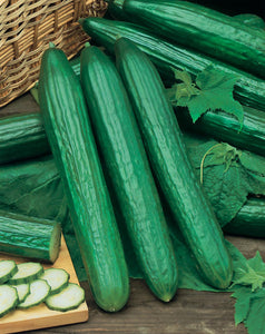 Cucumber 'Telegraph Improved' - 10 Seeds