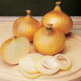 Rumba Onion Sets - Autumn or Spring Planting