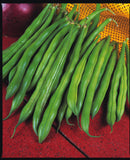 The Prince - 35 Seeds - Dwarf French Beans